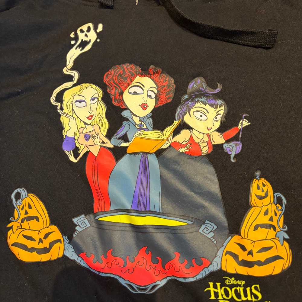 Disney Hocus Pocus Black Hoodie